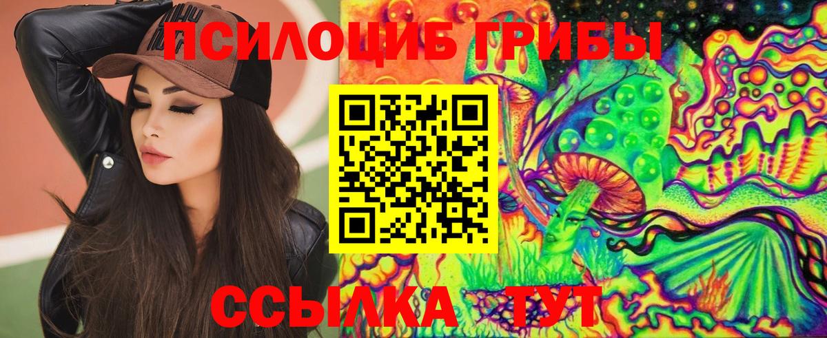 Гулькевичи  Галлюциногенные грибы мицелий  Галлюциногенные грибы прущие грибы  Вход с VPN 