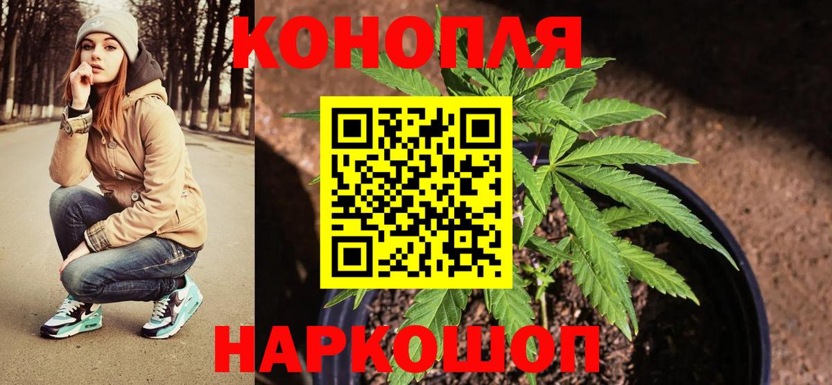 Шишки марихуана марихуана Гулькевичи